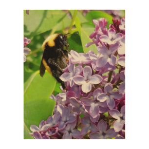 Bumblebee On Lilac close up by djoneill Wood Wall Decor