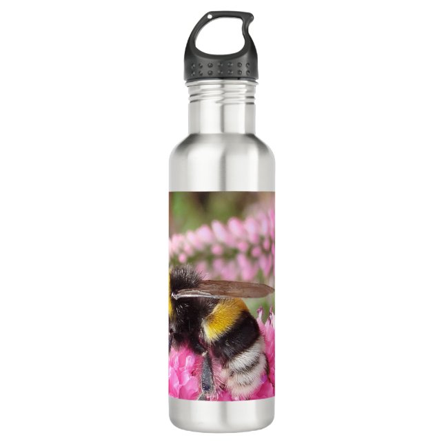 Bumblebee on Pink Flowers  Stainless Steel Water Bottle (Front)
