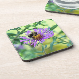 Bumblebee on Purple Daisy Beverage Coaster
