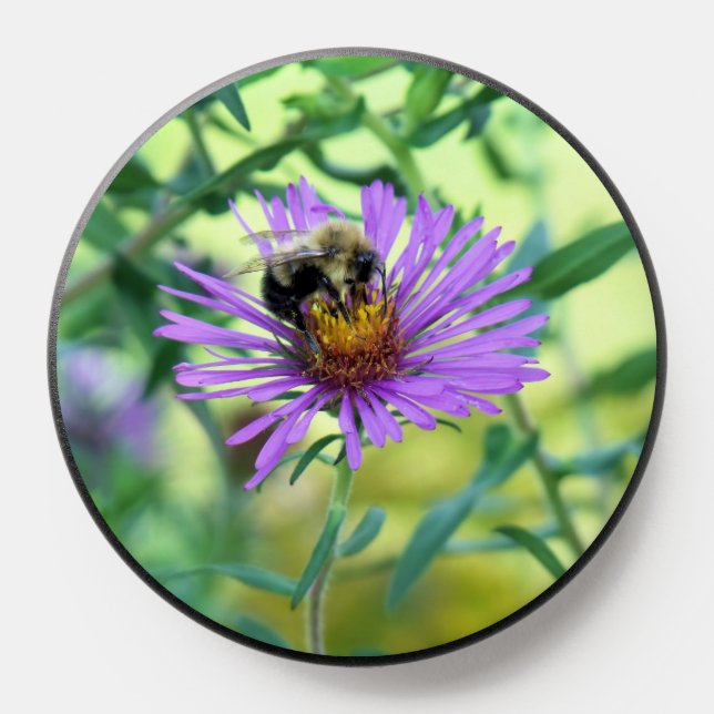 Bumblebee on Purple Daisy PopSocket (Popsocket)