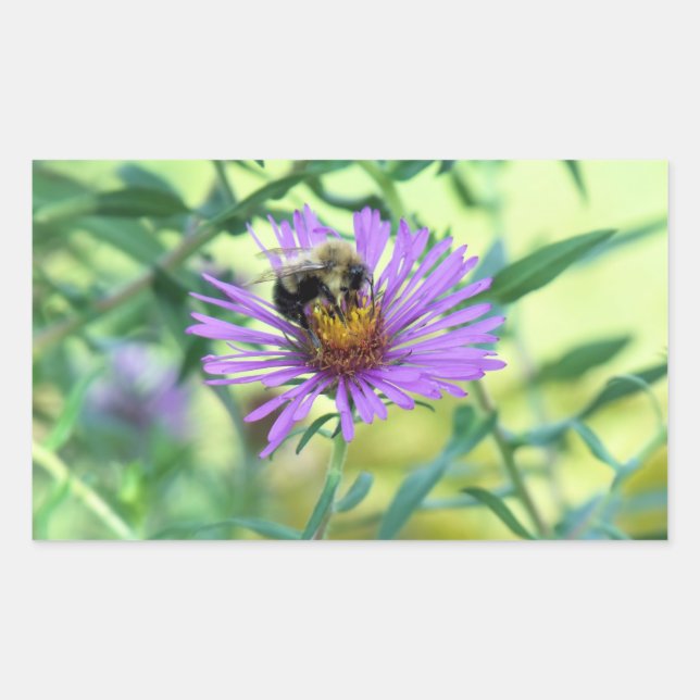 Bumblebee on Purple Daisy Rectangular Sticker (Front)