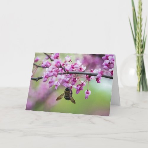 Bumblebee on Redbud Blossoms Card