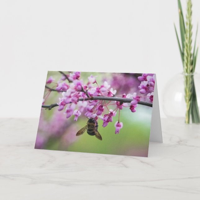 Bumblebee on Redbud Blossoms Card (Front)