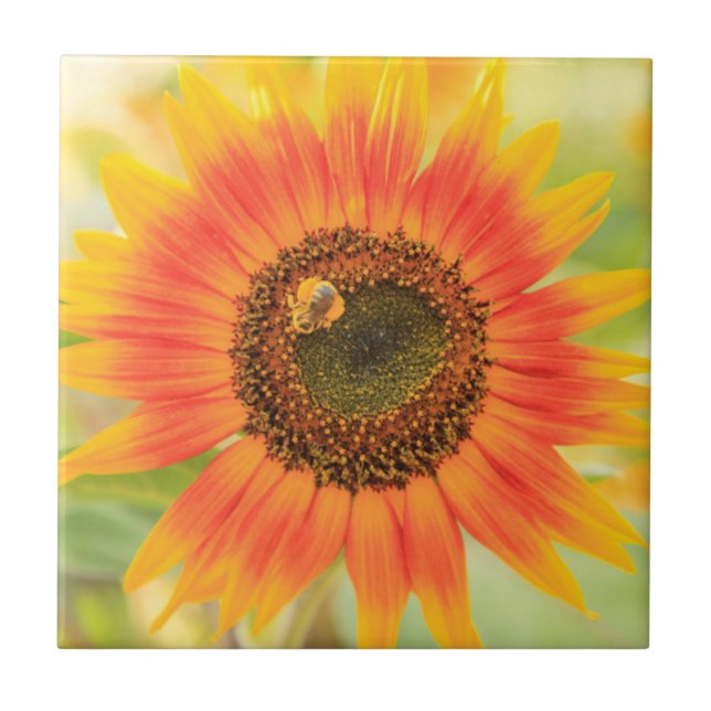 Bumblebee on sunflower, Community Garden Ceramic Tile (Front)