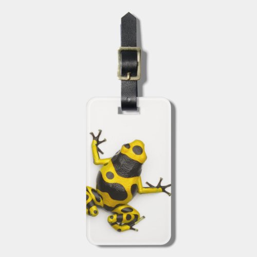 Bumblebee Poison Dart Frog Luggage Tag