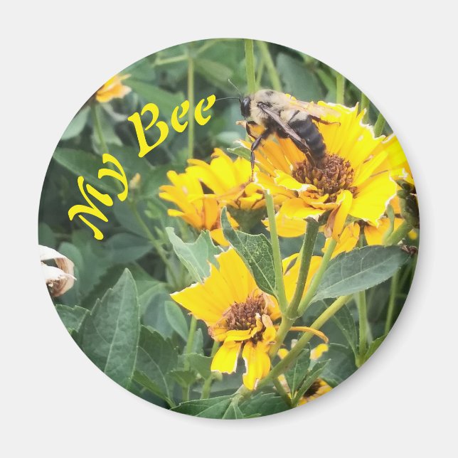 Bumblebee Pollinating a Yellow Flower Magnet (Front)