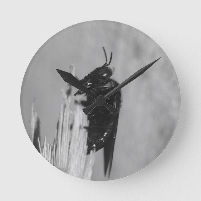 Bumblebee Round Clock (Front)