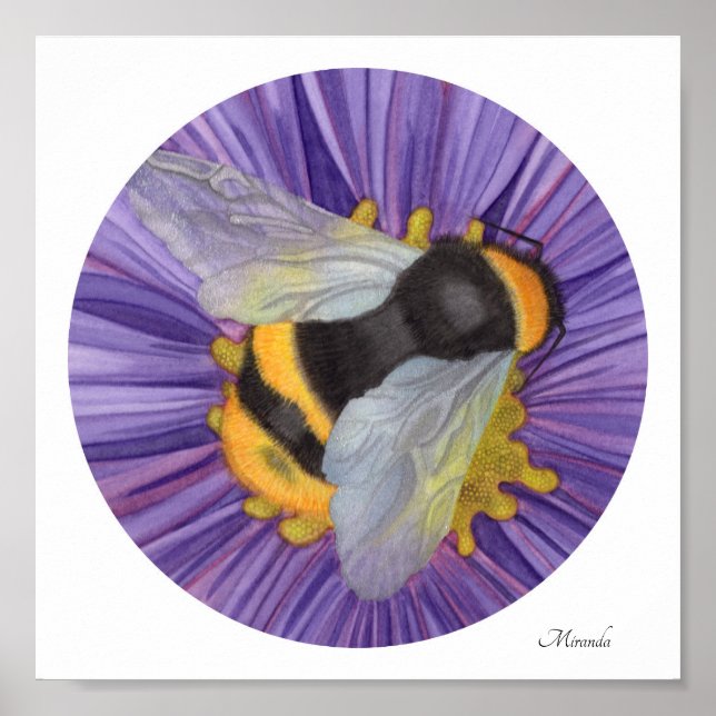 Bumblebee Small Art Print Ready to Frame Miranda (Front)