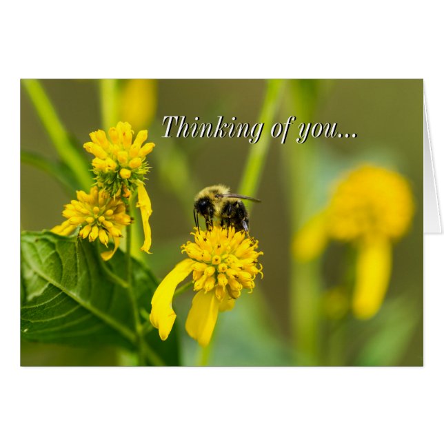 Bumblebee Thinking Of You Card (Front Horizontal)