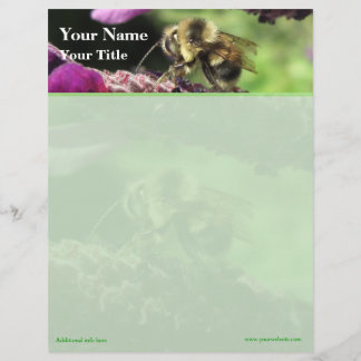Bumblebee Top Border Letterhead