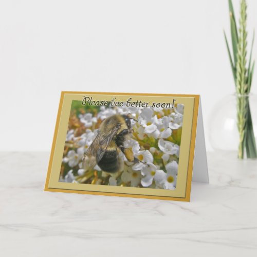 Bumblebee with Pollen Baskets Get Well Card
