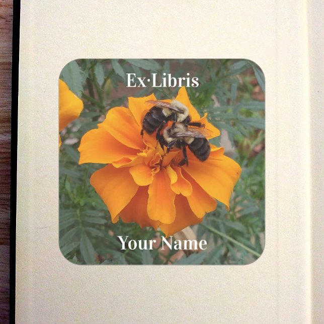 Bumblebees on Marigold Bookplate (Bumblebees on Marigold Bookplate in Old Book)