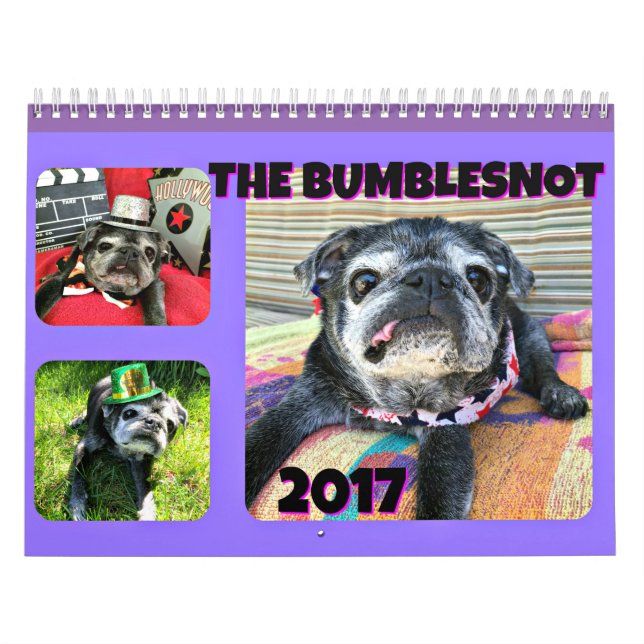 Bumblesnot 2017 Calendar (Cover)