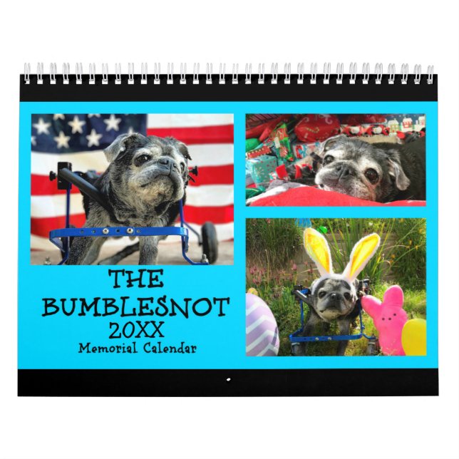 Bumblesnot 2018 Memorial Calendar (Cover)