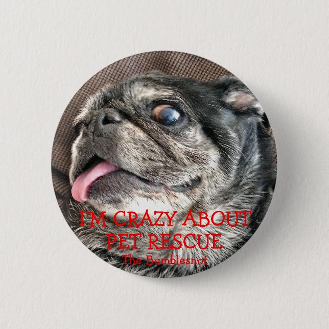 Bumblesnot button: Crazy About Pet Rescue Pinback Button (Front)