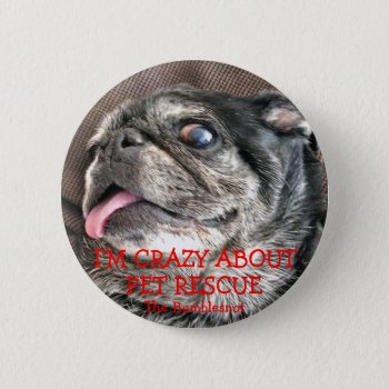 Bumblesnot Button: Crazy About Pet Rescue Pinback Button by TheBumblesnot at Zazzle