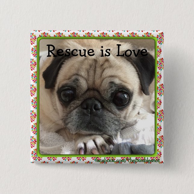 Bumblesnot button: Itsy Pug/Rescue is Love Button (Front)