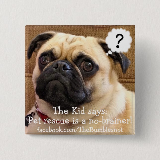 Bumblesnot button: The Kid/Pet rescue no-brainer Pinback Button (Front)