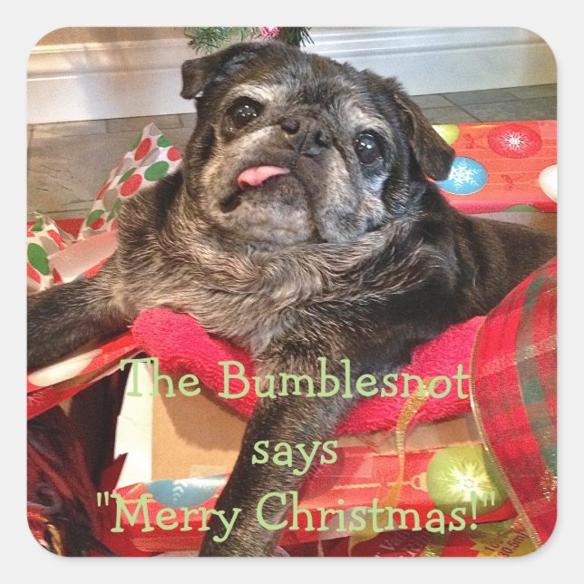 Bumblesnot Christmas Stickers (Front)