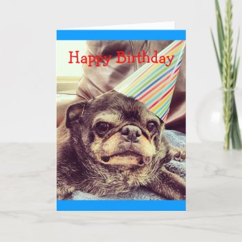 Bumblesnot Greeting Card: Happy Birthday Card by TheBumblesnot at Zazzle