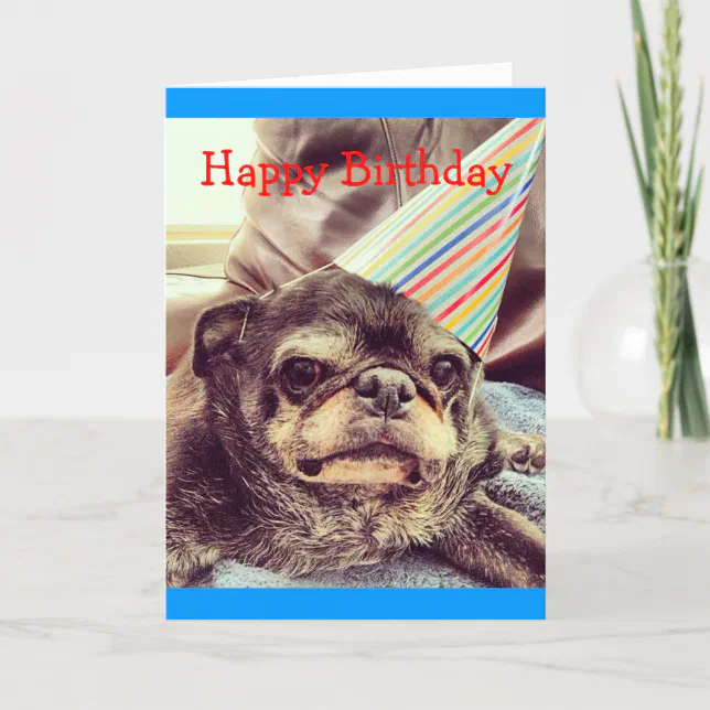 Bumblesnot greeting card: Happy Birthday Card | Zazzle