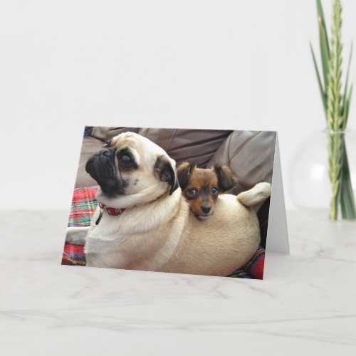 Bumblesnot greeting card Ive got your back Card