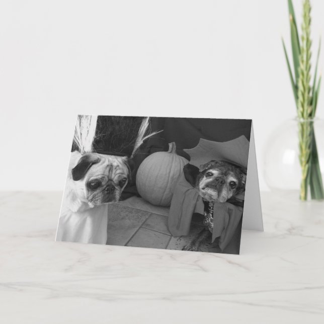 Bumblesnot Halloween card: Spell on You Card (Front)