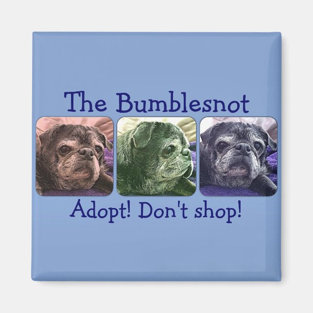 Bumblesnot magnet:  Color Me Bumble Magnet (Front)