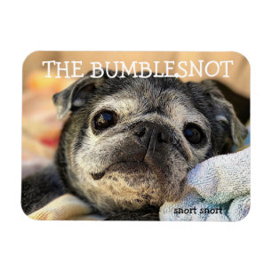 Bumblesnot magnet: snort snort magnet