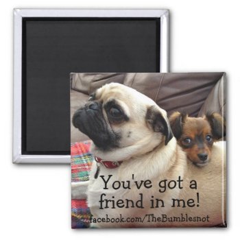Bumblesnot Magnet: You've Got A Friend In Me! Magnet by TheBumblesnot at Zazzle