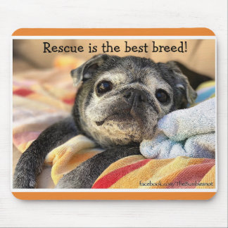 Bumblesnot mousepad: Rescue is the best breed! Mouse Pad