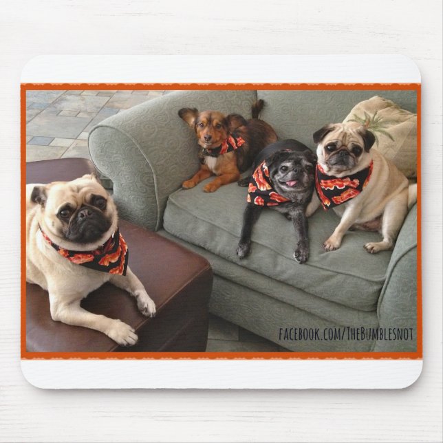 Bumblesnot Mousepad: The Bacon Bunch Mouse Pad (Front)