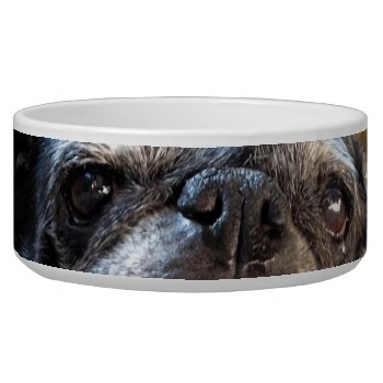 Bumblesnot Pet Food Bowl by TheBumblesnot at Zazzle