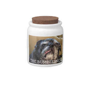 Bumblesnot treat jar: Got treats? Candy Jar