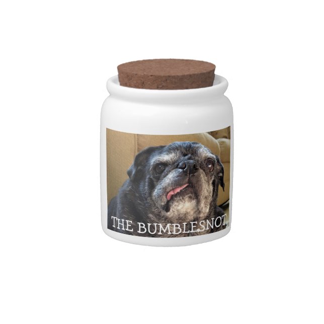 Bumblesnot treat jar: Got treats? Candy Jar (Front)