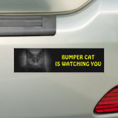 Bumper (Black) Cat is watching Bumper Sticker (On Car)