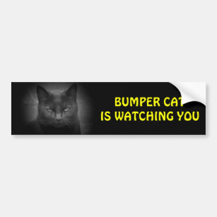 Bumper (Black) Cat is watching Bumper Sticker