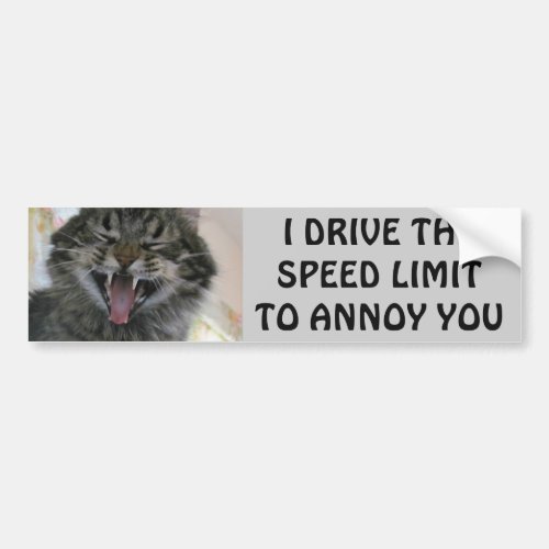Bumper Cat Annoys Speeders Meme Bumper Sticker