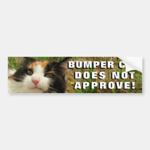 Bumper Cat Does Not Approve Meme Bumper Sticker