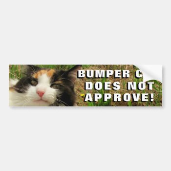 Bumper Cat Does Not Approve Meme Bumper Sticker by talkingbumpers at Zazzle