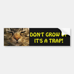 Bumper Cat  Don't Grow Up Meme Sticker