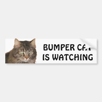 Bumper Cat Is Watching Bumper Sticker by talkingbumpers at Zazzle
