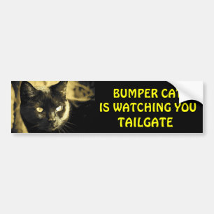 Bumper Cat is watching TAILGATE 16 Sticker