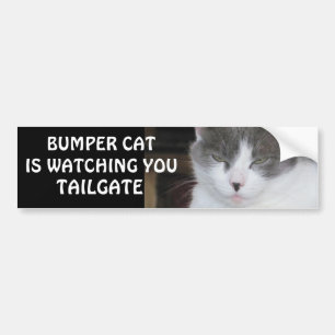 Bumper Cat is watching TAILGATE 18 Sticker