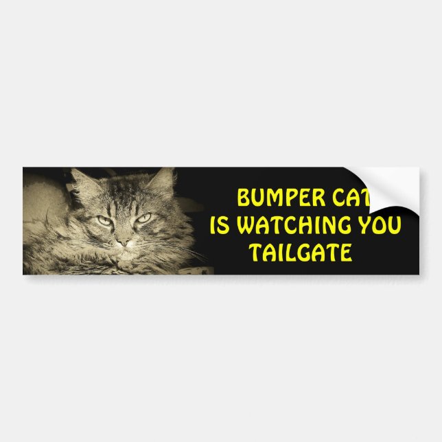 Bumper Cat is watching TAILGATE 24 Sticker (Front)