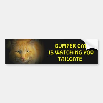 Bumper Cat Is Watching Tailgate 25 Bumper Sticker by talkingbumpers at Zazzle
