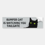 Bumper Cat Is Watching Tailgate 29 Bumper Sticker at Zazzle