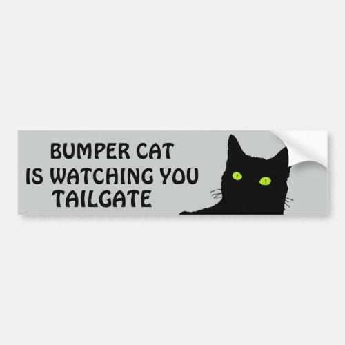 Bumper Cat is watching TAILGATE 29 Bumper Sticker