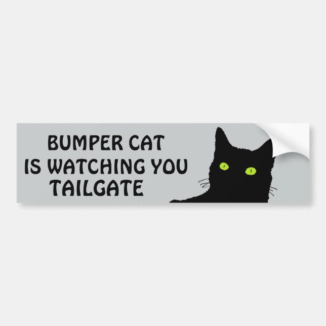 Bumper Cat is watching TAILGATE 29 Sticker (Front)