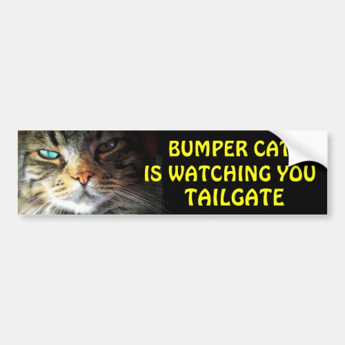 Bumper Cat is watching TAILGATE 25 Bumper Sticker